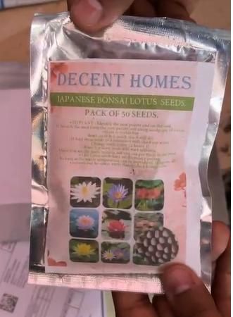 20 Pcs Japanese Bonsai Lotus Seeds Pack of 1